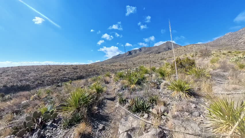Hiking Over Empty Nature Trail in Guadalupe Mountains National Park