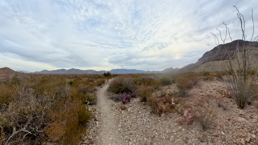 Hiking over Smooth Trail in Wilderness of Big bend National Park
