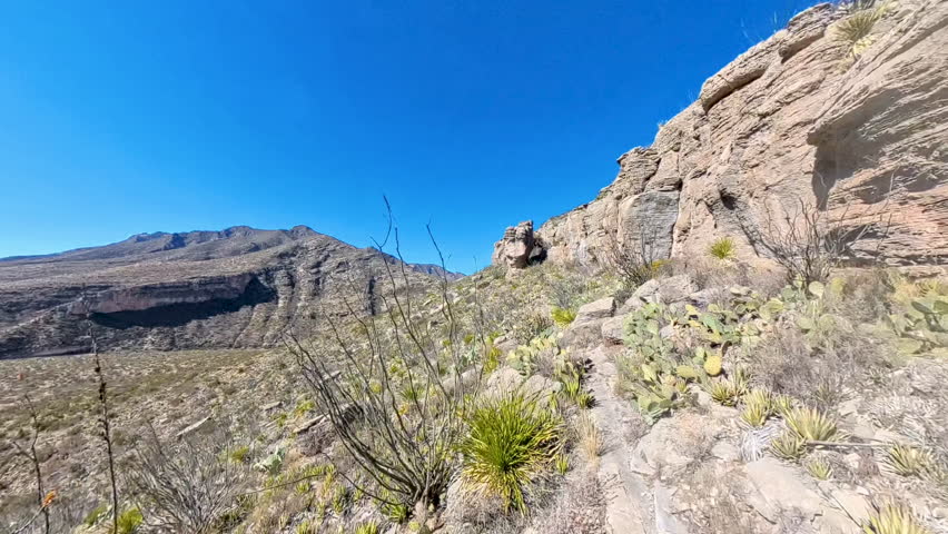 Hiking Through Cactus in Guadalupe Mountains National Park