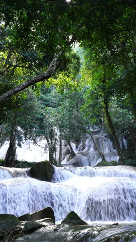 Tropical forest waterfall flowing through lush green jungle with clear stream, perfect for eco tourism, environmental content, travel backgrounds, and nature documentary visuals.