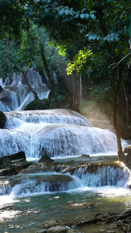 Tropical forest waterfall flowing through lush green jungle with clear stream, perfect for eco tourism, environmental content, travel backgrounds, and nature documentary visuals.