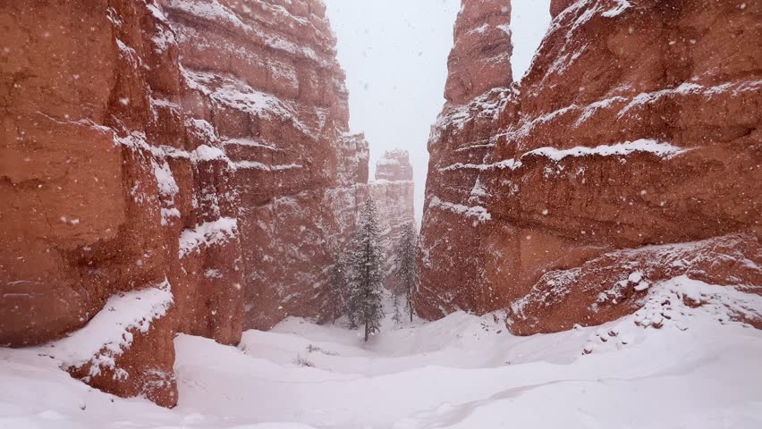 A stunning snowcovered canyon awaits you in an enchanting winter wonderland adventure