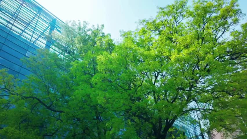 Glass Window of Office Building