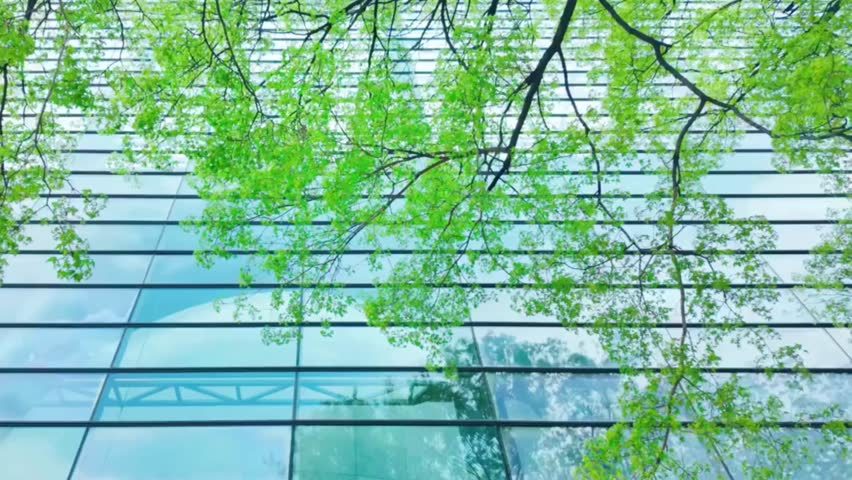 Glass Window of Office Building