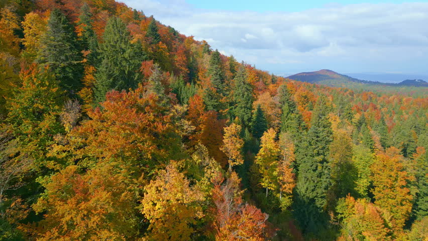 Aerial view of a vibrant autumn forest with deep greens, fiery oranges, and reds. Towering trees cover rolling hills, leading to a distant mountain ridge under a partly cloudy sky.