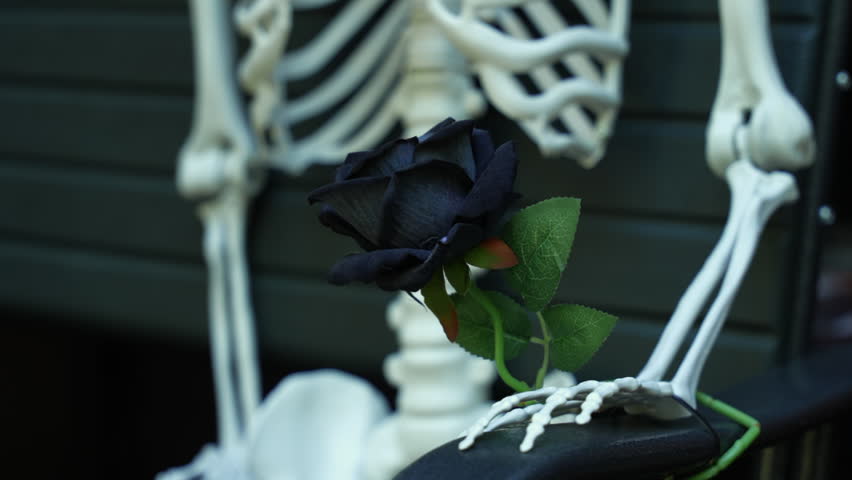 Spooky lonely skeleton holding single black rose, sad gothic decoration for halloween celebration with dark romantic gesture as macabre symbol of love and death - Powered by Shutterstock - Get 15% off with code: PIKWIZARD15