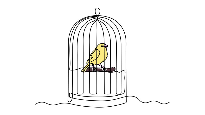 Bird, canary in cage, birdcage, Self drawing animation one continuous line draw, logo on white background
