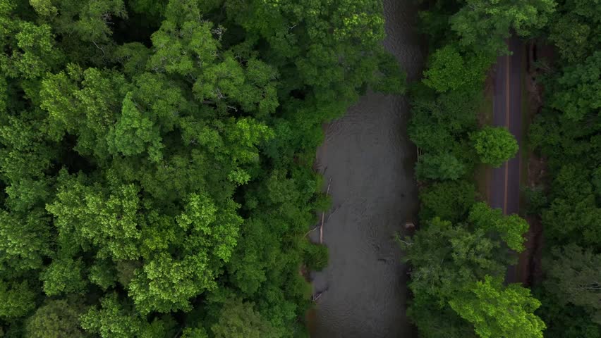 Aerial nature top down of Cahaba River and forest in Vestavia Hills Alabama USA