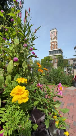mechanical clock tower at Shiroi Koibito Park, Hokkaido with beautiful colorful flowers and green plans as the foreground. a clock tower on the building in Sapporo, Japan. vintage clock tower