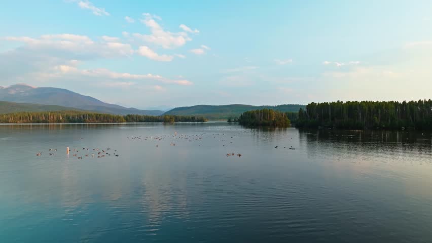 Drone dolly over Grand Lake Colorado showing forest shoreline, soft clouds reflecting across calm water