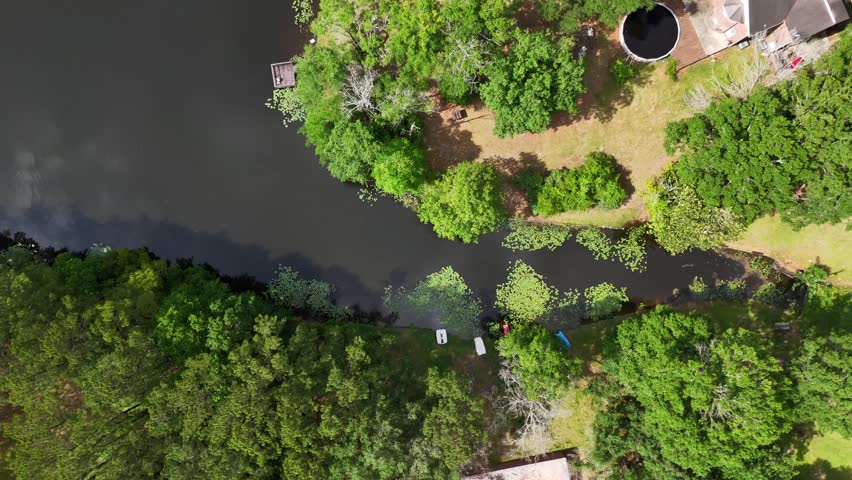 Aerial nature top down of hunted bird dying in pond Carriere Pearl River County Mississippi USA