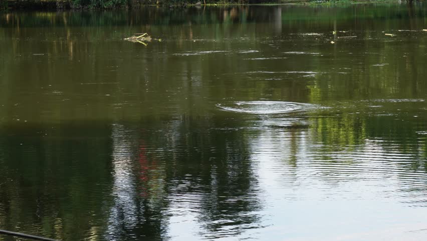 Reflections and ripples on a body of water in the river