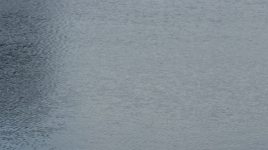 water surface with subtle ripples resembling a calm body of water on the lake