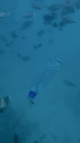 A discarded plastic bottle drifts in the ocean with stingrays and fish, endangering marine life and the ecosystem. Ocean pollution and environment issue. Vertical video