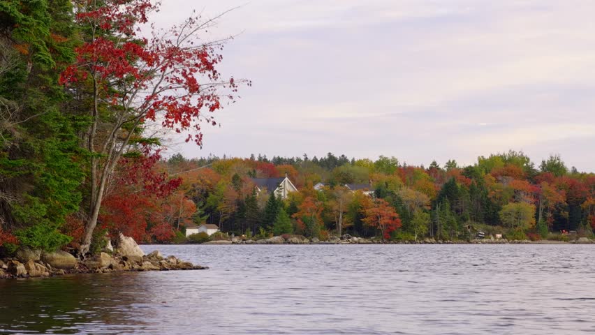 Vibrant Red And Yellow Trees Surround Canadian Houses In Beechville Near Halifax Nova Scotia During Golden Sunset, Creating A Cinematic Small Town View.