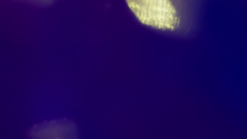 Holographic flare. Reflection lens blur. Color defocused flash flicker mix. Futuristic spectrum shiny beam effect abstract background.