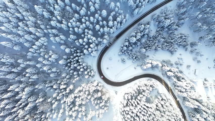 Stunning top-down aerial drone footage of a winding, S-shaped road through a dense, snow-covered pine forest. A single red car travels along the road, creating a beautiful, minimalist winter scene.