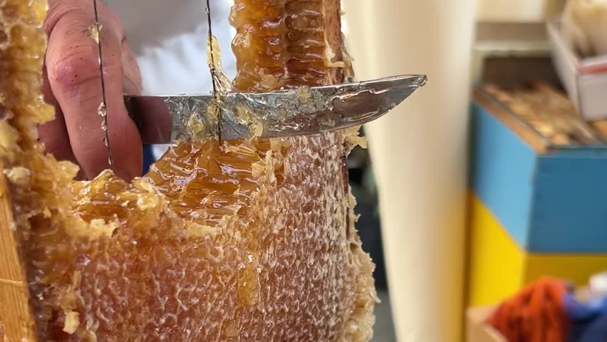 Horizontal video. Male hand with knife. Honey seller cuts chunk of juicy honeycomb at city holiday Tbilisoba, Christmas market, autumn harvest festival, New Year farm fair. Concept of sweet food, sale