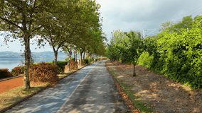 Aerial drone footage ascending (rising up) over a middle-aged man (50-60s) jogging for a healthy lifestyle on a path by Sapanca Lake, revealing a high-speed train line and highway. - Powered by Shutterstock - Get 15% off with code: PIKWIZARD15