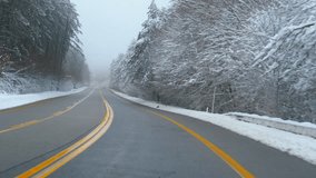 Driving on a snowy road through a forest on a foggy winter day. Snowy winter landscape revealing frosted roadside vegetation covering asphalt highway during a winter trip - Powered by Shutterstock - Get 15% off with code: PIKWIZARD15