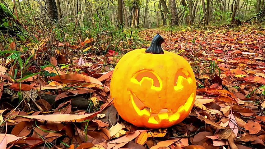 a Halloween pumpkin in the enchanted forest