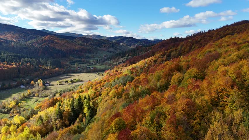 Drone footage showing colorful autumn forest and mountain valley landscape in Bucovina, Romania