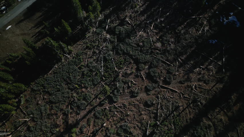 Aerial drone footage flying over a road in Lake Tahoe, California. Bird