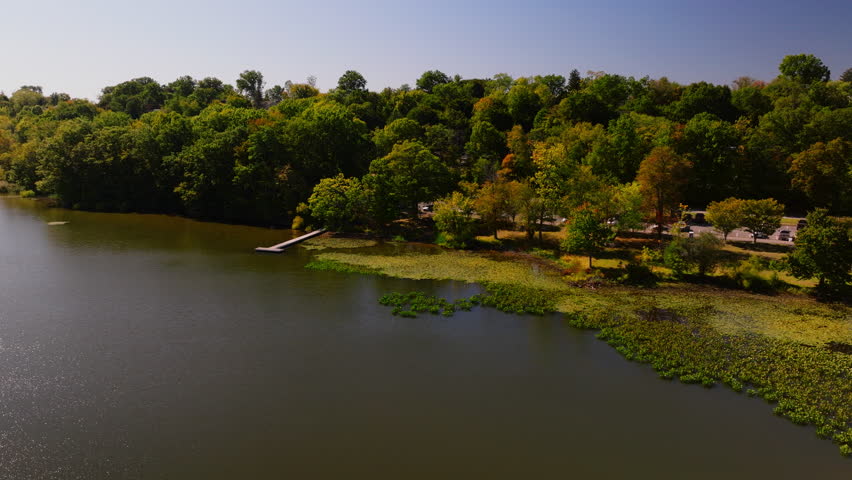 Aerial view of Rockland Lake surrounded by green and autumn trees with patches of water lilies near the shoreline, Rockland County, New York. ProRes HQ422.