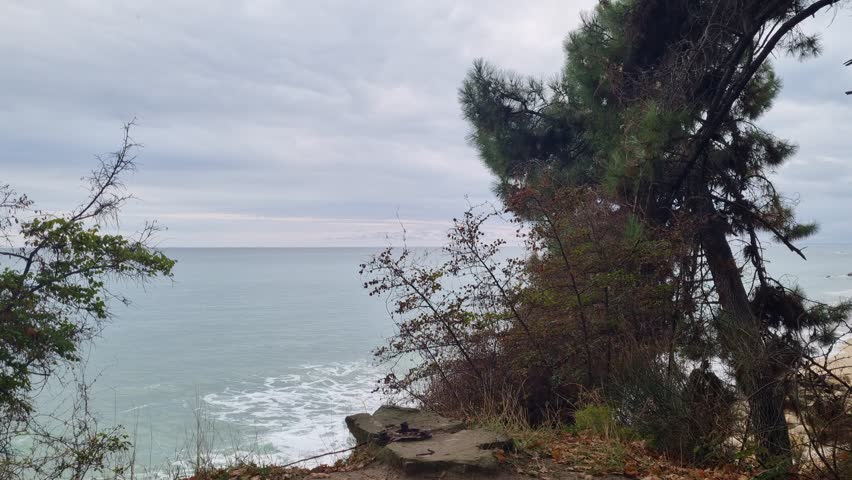 Coastal cliff with pine trees overlooking the sea. Waves crashing against rocks on a cloudy day, peaceful shoreline scenery, natural seaside landscape, moody coastal environment. - Powered by Shutterstock - Get 15% off with code: PIKWIZARD15