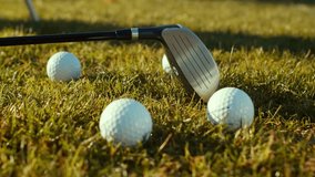 Golf club rests on grass near multiple white golf balls, showcasing perfect outdoor conditions for practice. Ideal for sports enthusiasts and leisure activities. - Powered by Shutterstock - Get 15% off with code: PIKWIZARD15