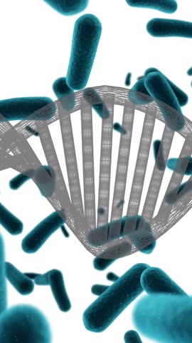 Animation of dna strand over cells on white background. Global medicine, science and digital interface concept digitally generated video.