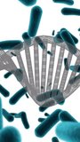 Animation of dna strand over cells on white background. Global medicine, science and digital interface concept digitally generated video. - Powered by Shutterstock - Get 15% off with code: PIKWIZARD15