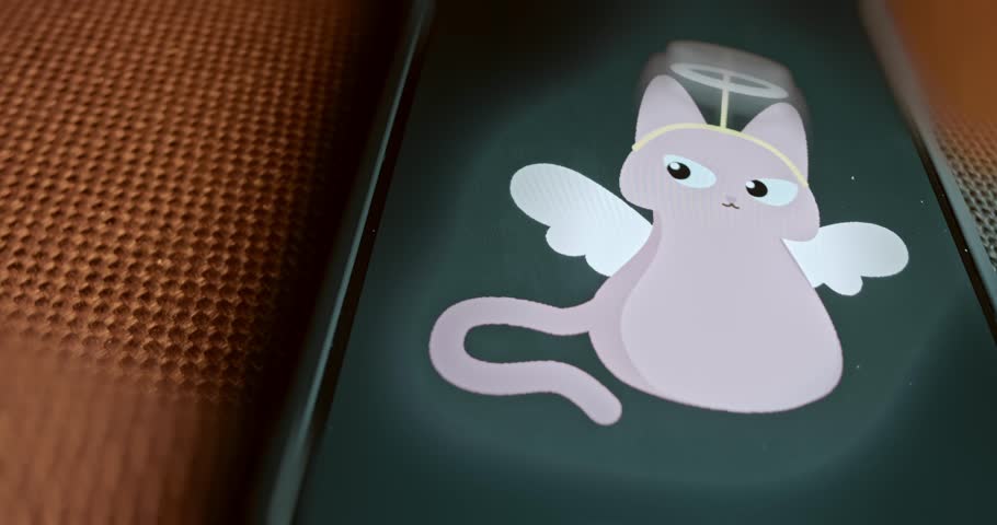 Pink cat with angel wings, presentation