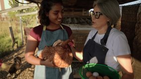 Senior farmer teaching her adult daughter about raising chickens and collecting fresh eggs in a rustic coop. Showcasing sustainable agriculture and intergenerational bonding in a family run business - Powered by Shutterstock - Get 15% off with code: PIKWIZARD15