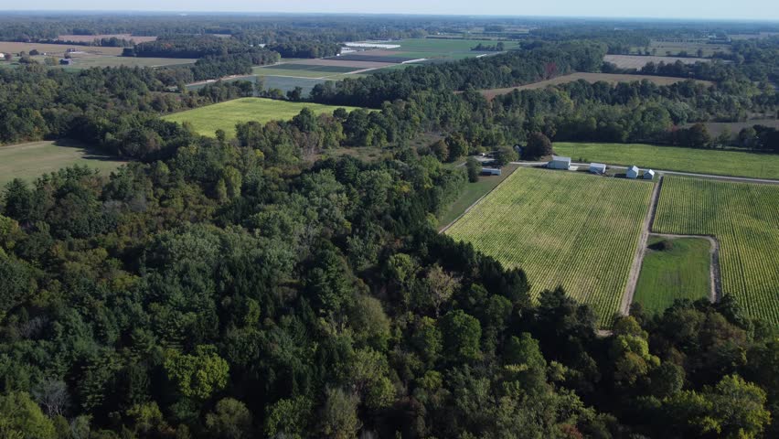 Drone footage of Ontario farmland in autumn, showing patchwork fields, country roads, and vivid fall colours.