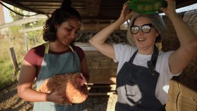 Two cheerful female farmers having fun while gathering fresh eggs in a rustic chicken coop. A young woman holds a hen while her senior colleague playfully balances a basket of eggs on her head - Powered by Shutterstock - Get 15% off with code: PIKWIZARD15