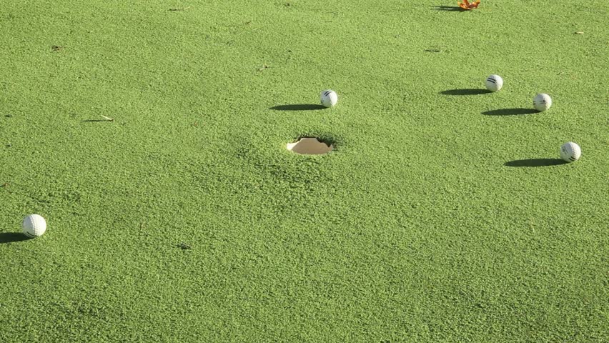 Golf balls scattered around hole on putting green under bright sun. Ideal scene for golf enthusiasts practicing skills in a lush, vibrant setting. - Powered by Shutterstock - Get 15% off with code: PIKWIZARD15