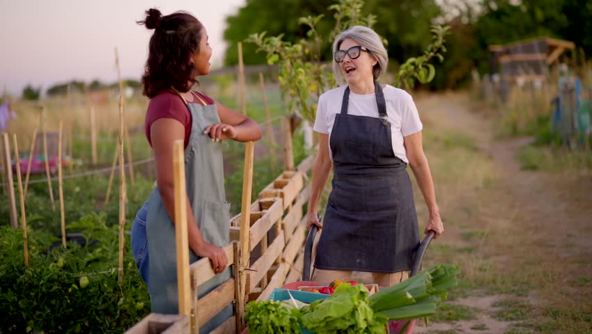Cheerful mature woman pushing a wheelbarrow full of fresh organic vegetables while talking with a young woman in a beautiful community garden during a sunny afternoon, both wearing aprons