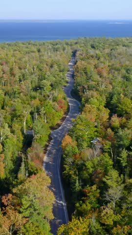 A winding road snakes through a vast forest of green and amber trees, stretching toward the deep blue waters of a distant lake under a clear sky.