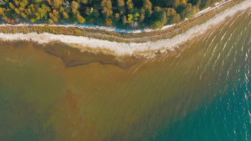 From above, the forested coast of Door County, Wisconsin, reveals a vivid gradient from autumn treetops to pale sand and clear rippling waters along Lake Michigan’s edge.