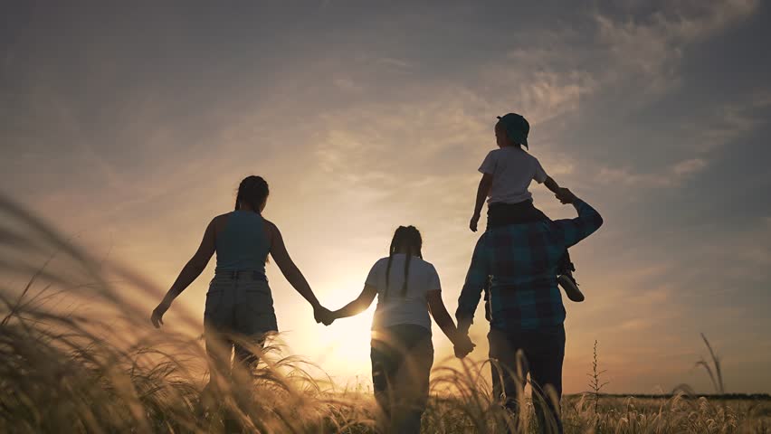 Father holds child high on shoulders. Family walks through field at sunset. Boy and girl shine with happiness. Child laughs with joy. Sunset paints sky as walking family shares peaceful golden evening