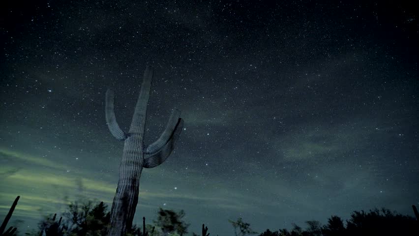 Saguaro cactus timelapse outside of Tucson Arizona.