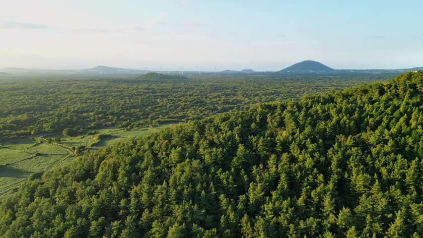 An aerial view of a dense, dark green forest meeting a grassy field with volcanic cones and windmills at sunset in Jeju Island, South Korea