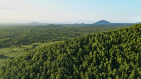 An aerial view of a dense, dark green forest meeting a grassy field with volcanic cones and windmills at sunset in Jeju Island, South Korea - Powered by Shutterstock - Get 15% off with code: PIKWIZARD15