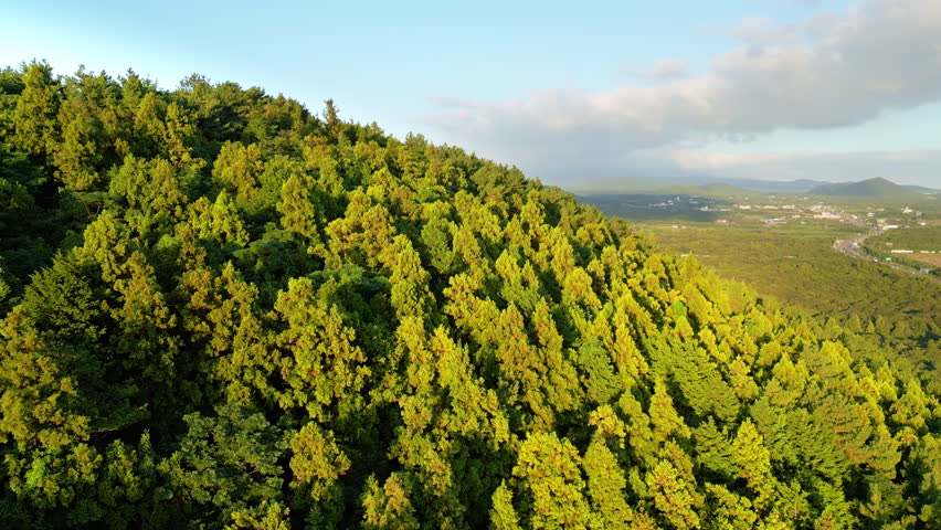 A drone footage of a steep, forested hillside casting a large, dark shadow over a flat, green valley in Jeju Island, South Korea