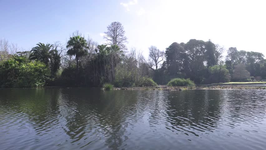 A low angle shot against the light of a small urban lake with some water birds flapping their wings in the water, while some trees and blue skies in the background. a 4K video clip.
