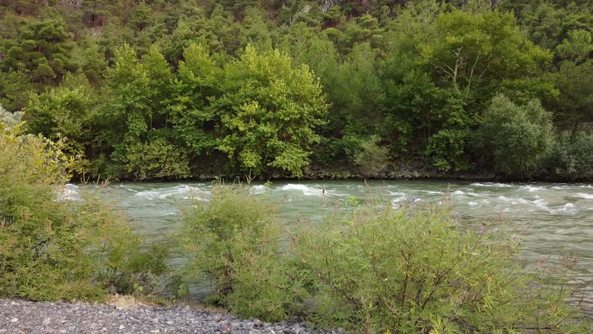 4K Drone: Rushing River  Dense Forest. Powerful, fast-flowing turquoise water contrasts with the thick, green forest edge. Symbolizes nature