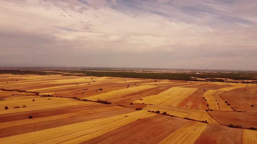 4K Cinematic Drone Footage of Golden Fields and Forested Hills Under Cloudy Sky — harvested and unharvested crops, brown soil, gentle wind, and trees create a moody, rural landscape scene.