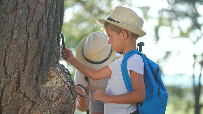 Boy with backpack touches forest tree. Curious child explores nature magnifier. Explorer learns from forest bark. Backpack holds student tools. Nature teaches boy how learner explores outside world.