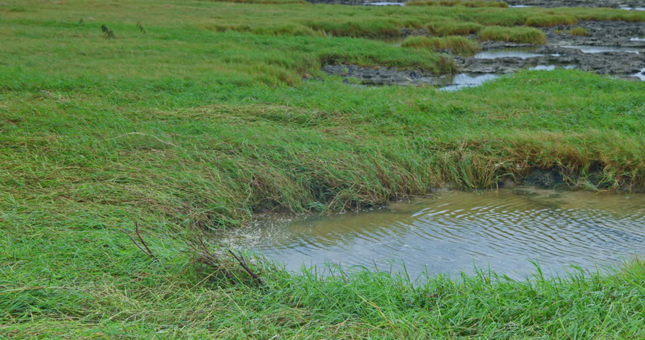 Explore the shallow waters of Okinawa